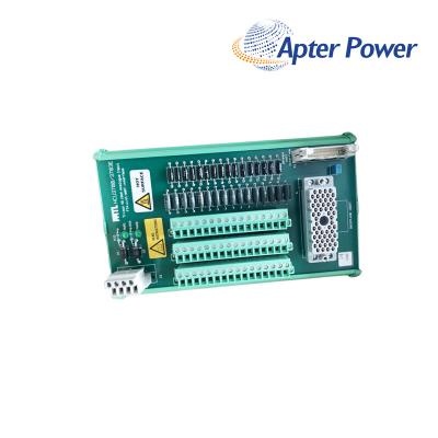 TRICONEX HCU3700/3703E Analog Input
