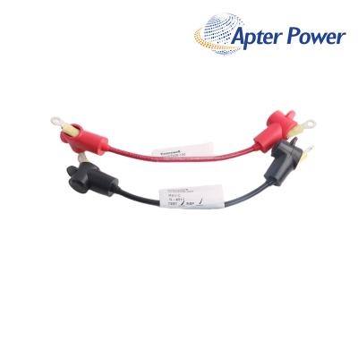 HONEYWELL 51202335-300 Cable
