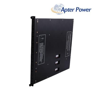 Triconex 3624 Digital Output Module
