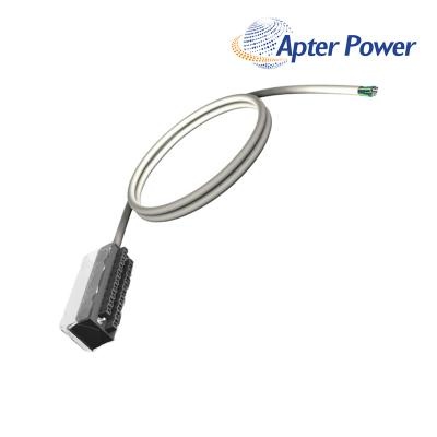 SCHNEIDER BMXFCW301S Cable unit
