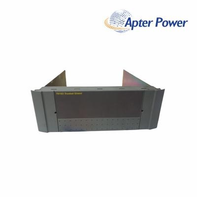 ICS Triplex  T8193 TRUSTED SHIELD Module
